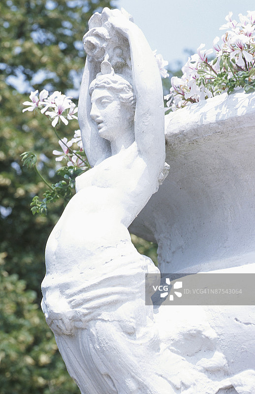 鲜花装饰花盆图片素材