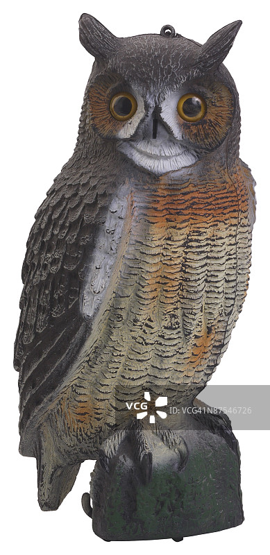 23595647图片素材