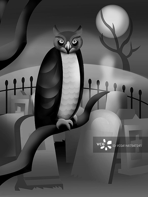 可爱的小猫头鹰图片素材