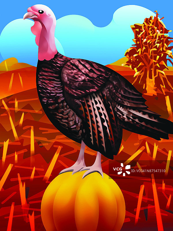 抽象奥运体育项目跳水图片素材