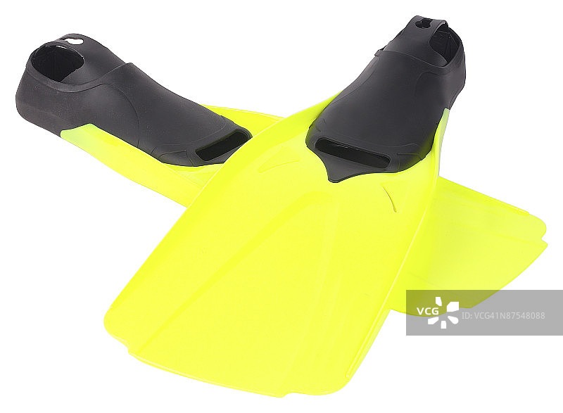 23601892图片素材