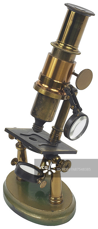 23646858图片素材