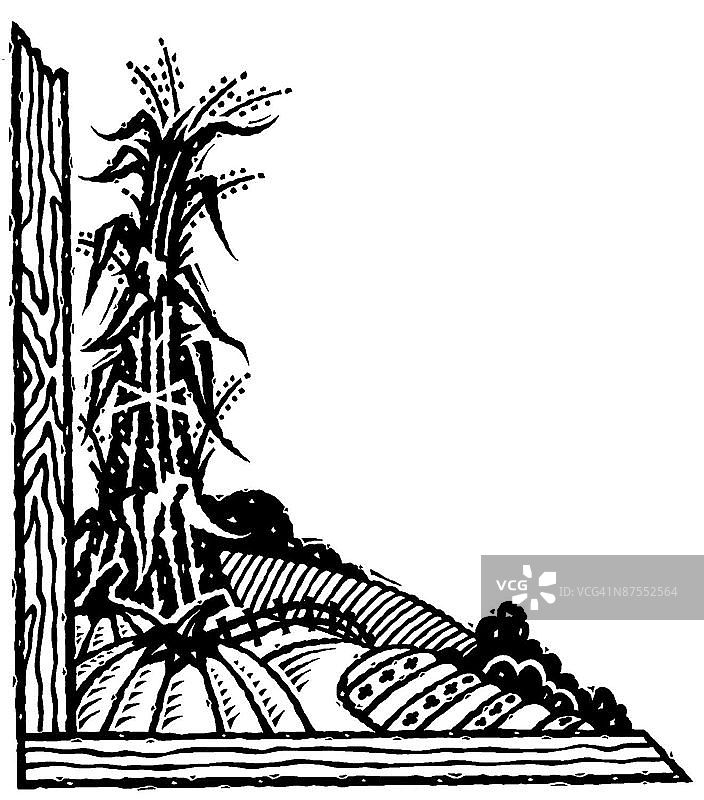 LiquidLibrary图片素材