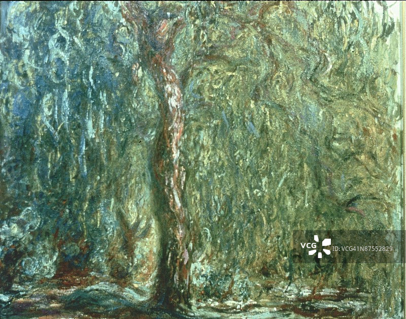 24117209图片素材