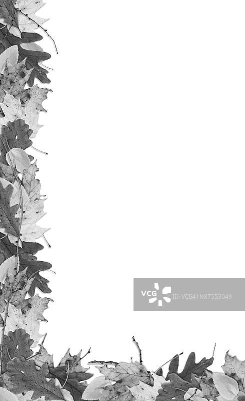 LiquidLibrary图片素材