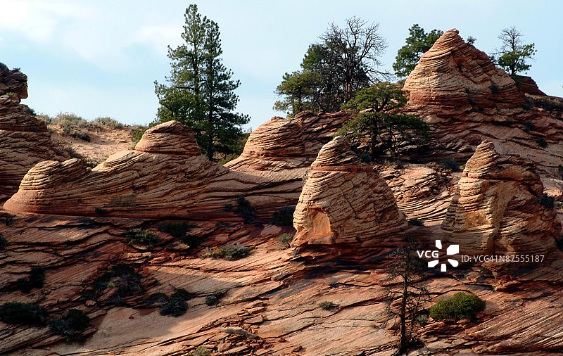 24100505图片素材