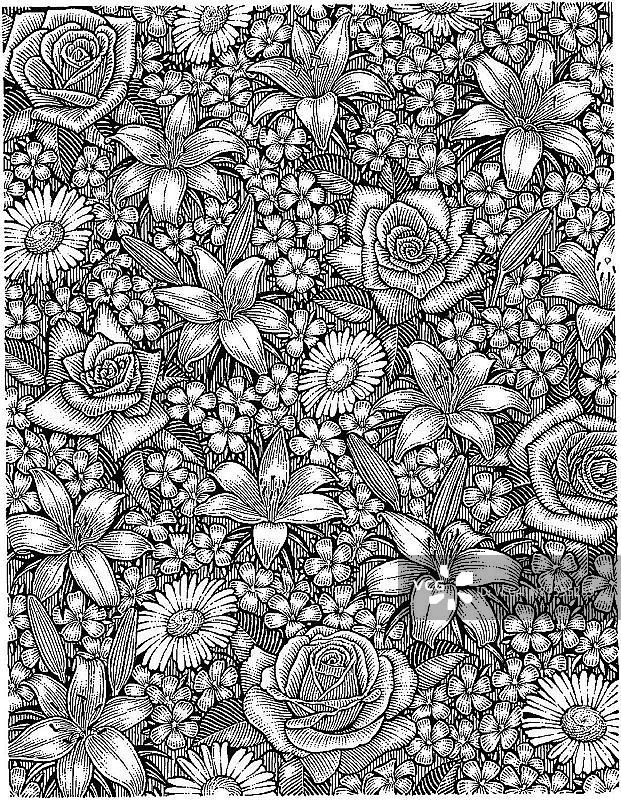 LiquidLibrary图片素材