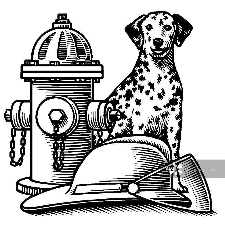 LiquidLibrary图片素材