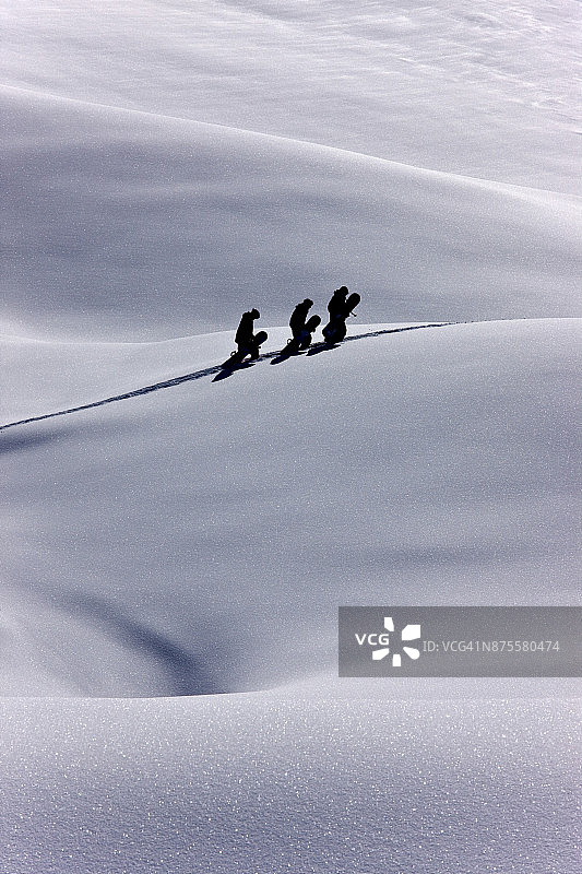 三名滑雪者在偏远地区徒步旅行，寻找新鲜的粉雪图片素材