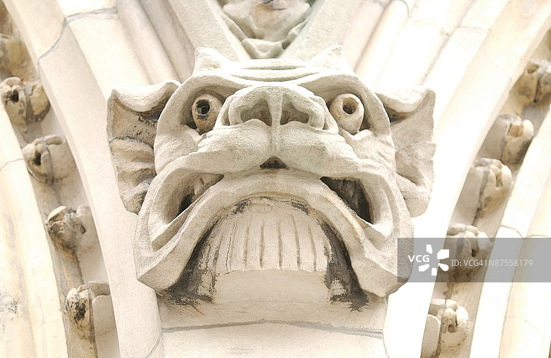 23966494图片素材