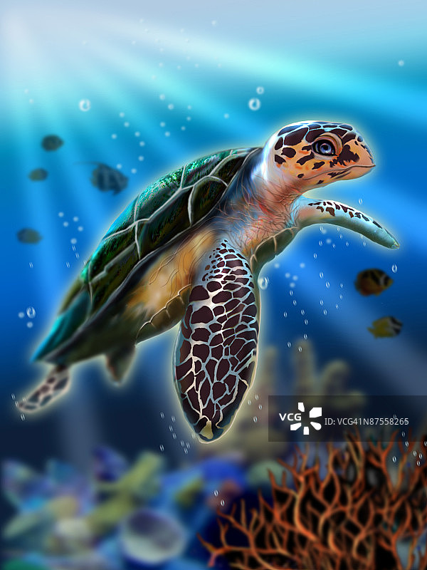 海龟在水族馆游泳的特写镜头图片素材