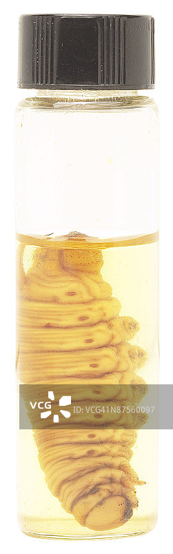 23607916图片素材