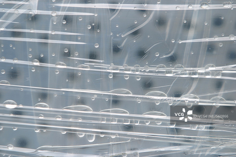 24072113图片素材