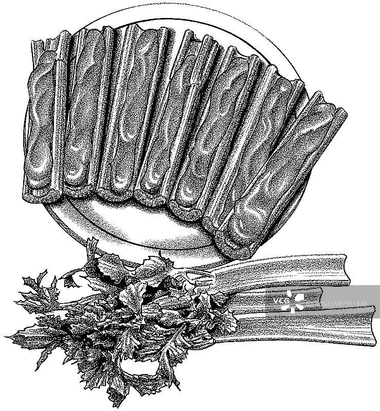 LiquidLibrary图片素材