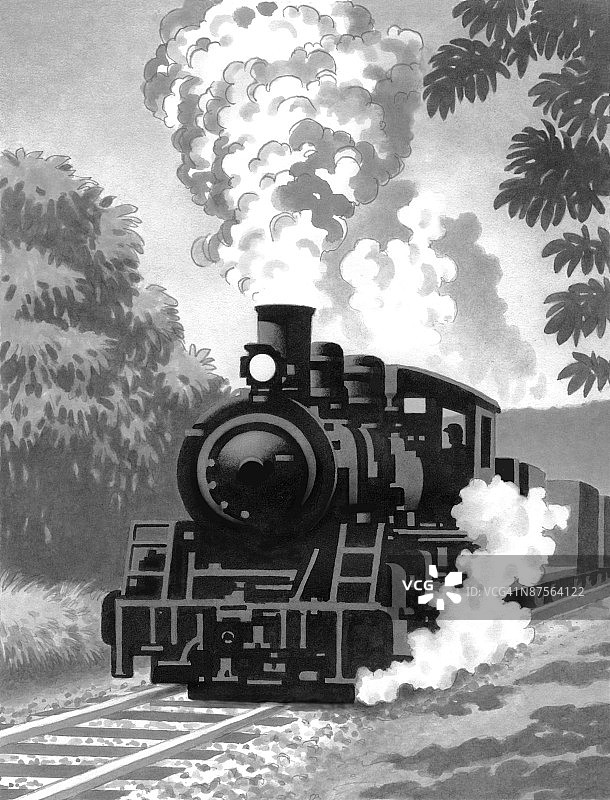 雪地上的树木和植物图片素材