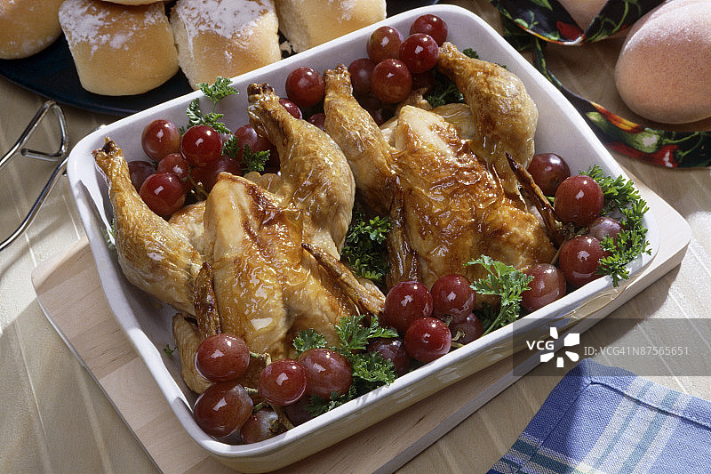 康沃尔母鸡图片素材