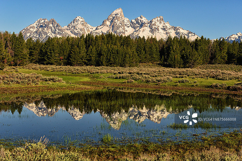 夏季的大提顿峰图片素材