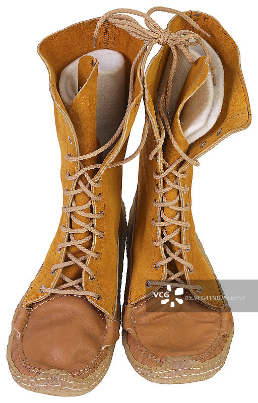 23598343图片素材