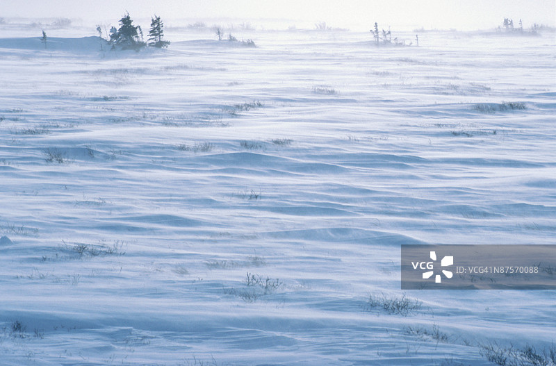 孤立的苔原荒野图片素材