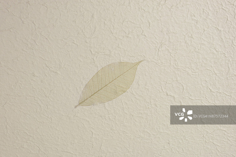 棕褐色背景图片素材