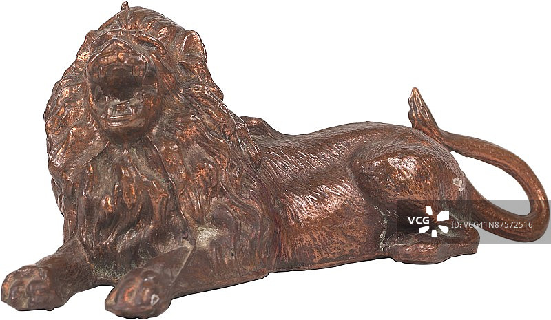 白色背景下的狮子特写镜头图片素材