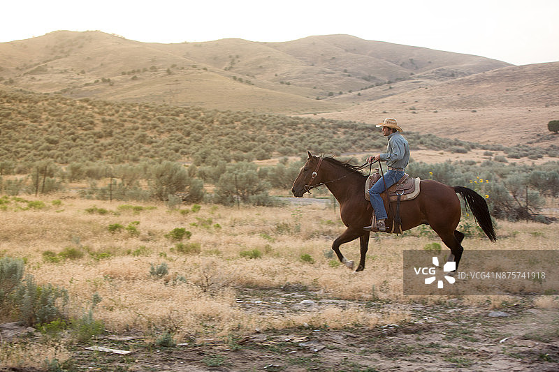 在草原上工作的牛仔图片素材