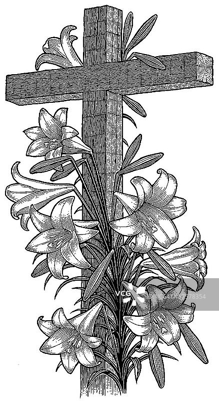 LiquidLibrary图片素材