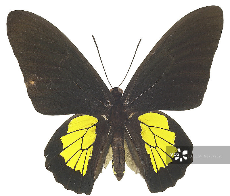 23643592图片素材