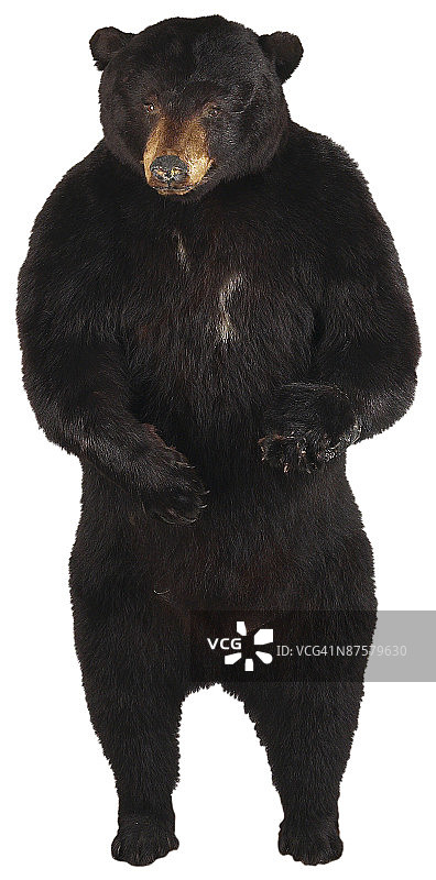 23580309图片素材