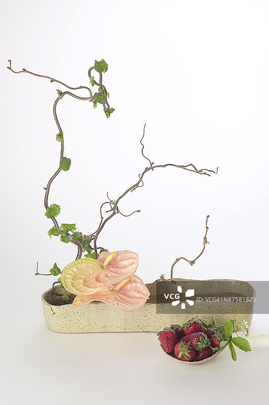 水果鲜花布置图片素材