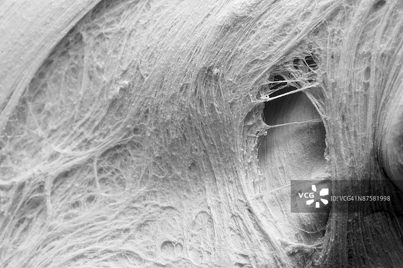 橡皮泥纹理特写图片素材