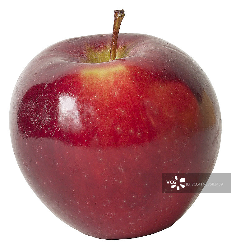 23573261图片素材