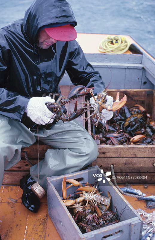 拿着龙虾笼的男人图片素材