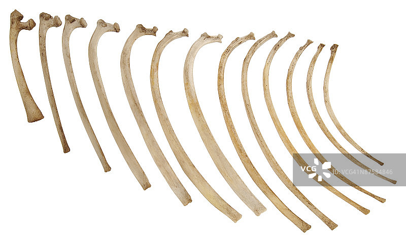 23652186图片素材