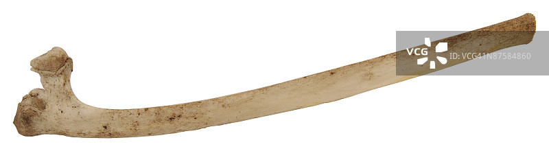 23652194图片素材