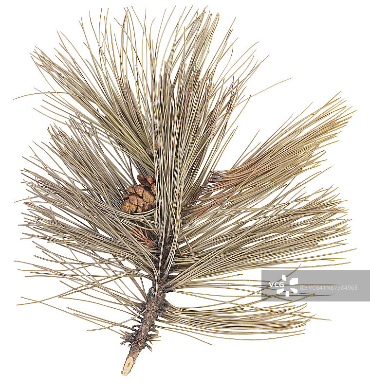 23604755图片素材