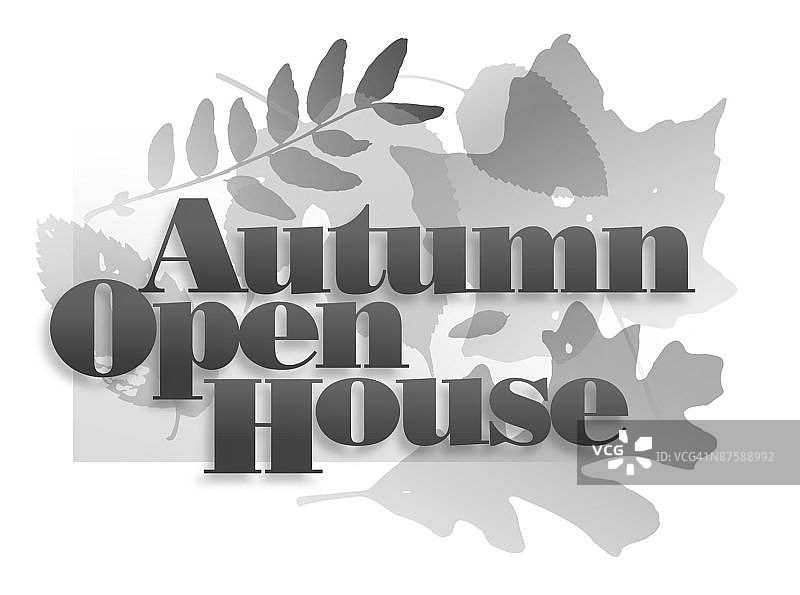 LiquidLibrary图片素材