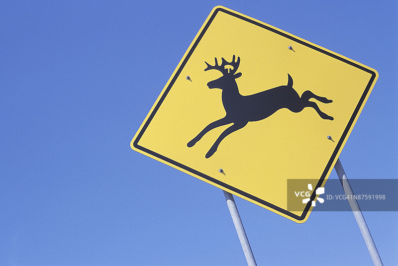 当心动物交通标志图片素材