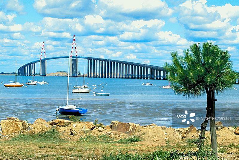 23898303图片素材