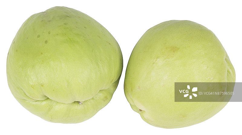 23532725图片素材