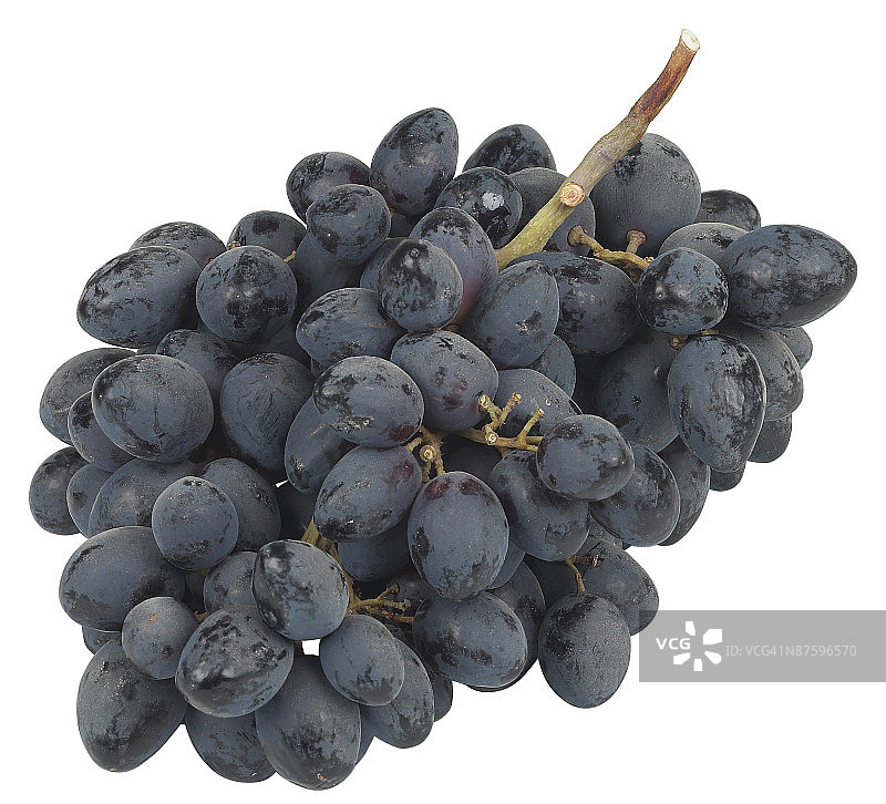 葡萄图片素材