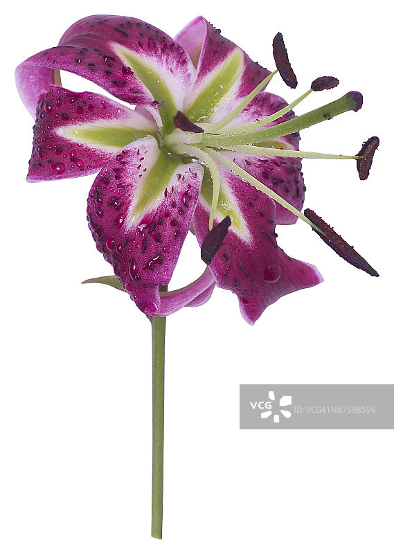 23610380图片素材