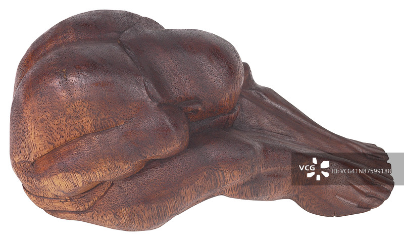 23644434图片素材