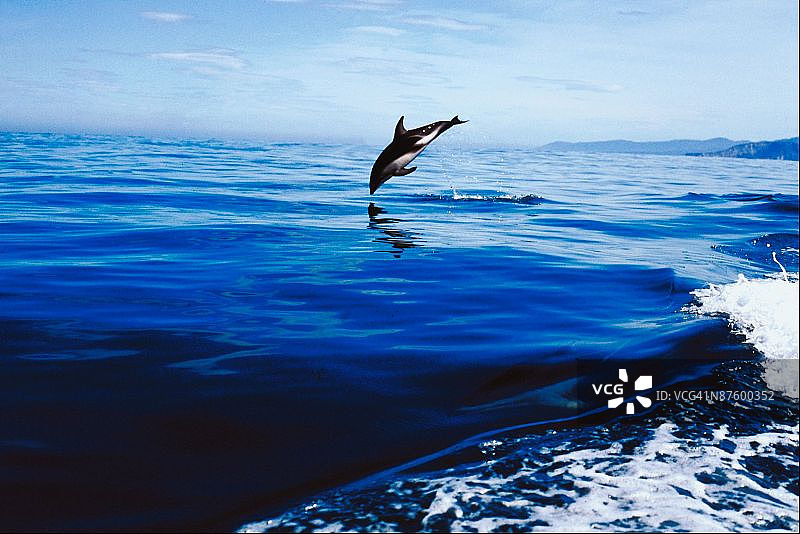 23896993图片素材