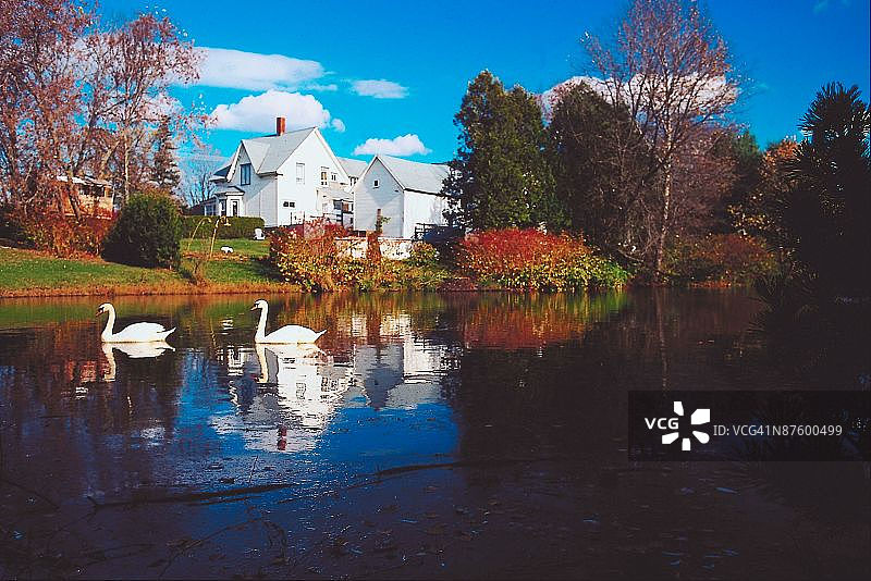 23897009图片素材