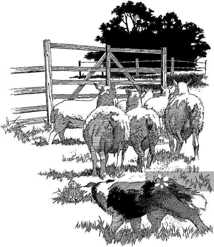 LiquidLibrary图片素材