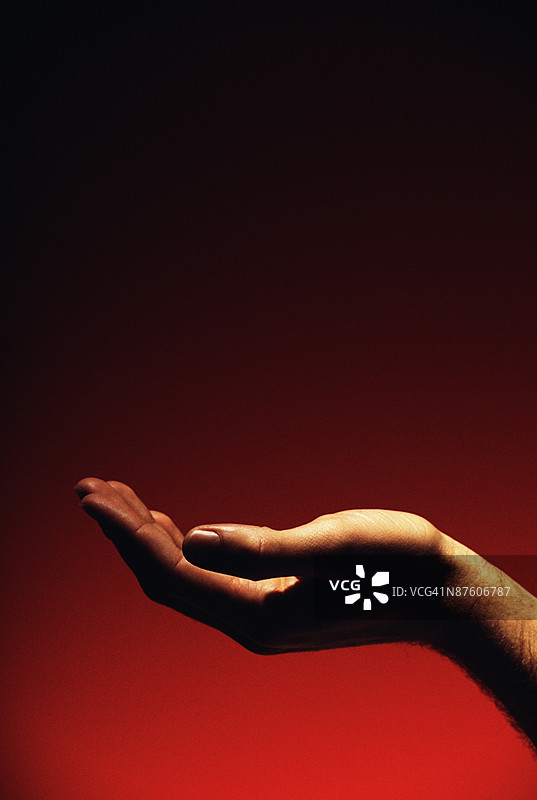 手掌托起的工作室拍摄照片图片素材