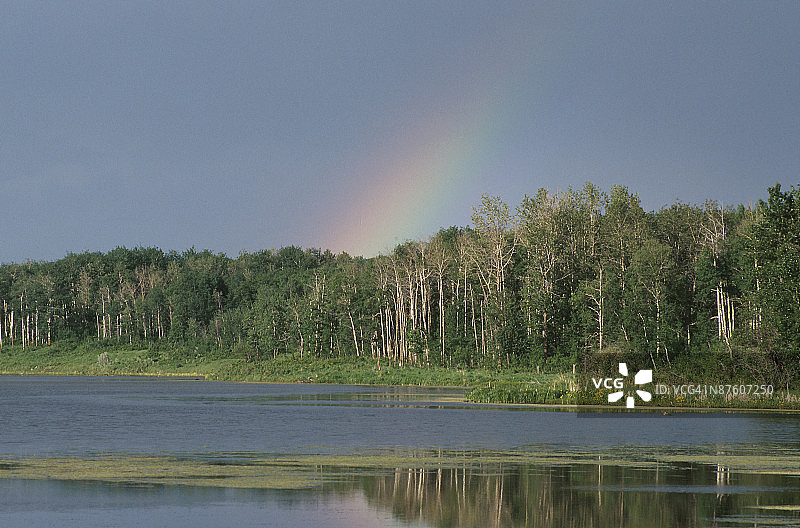 麋鹿岛国家公园上空的彩虹图片素材