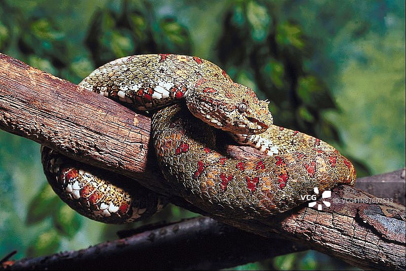 23897520图片素材