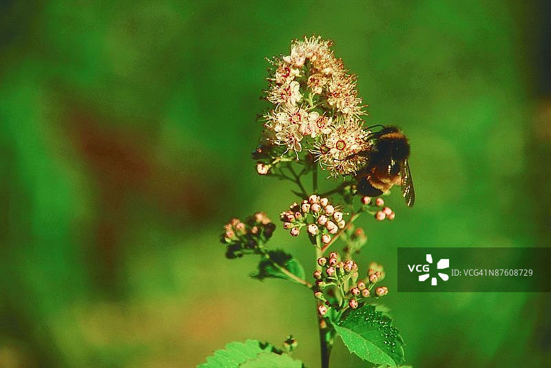 23873258图片素材